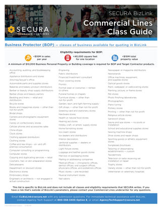 BizLink Class Guide